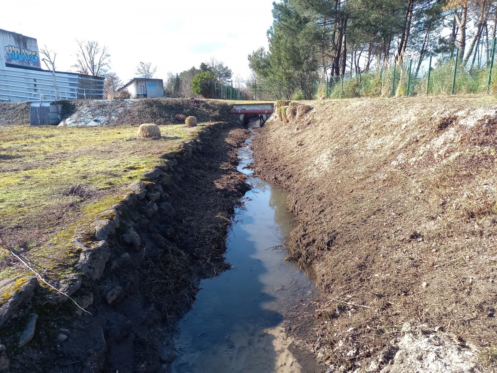 Berges débroussaillées sur 230 mètres par Bouleris à Mérignac