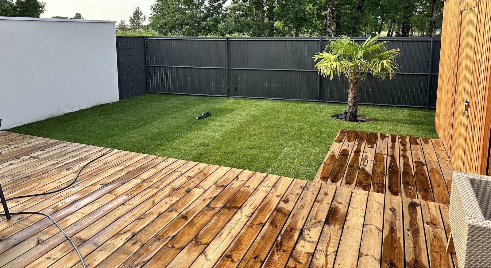 Pelouse naturelle fraîchement levée dans un jardin à Hourtin